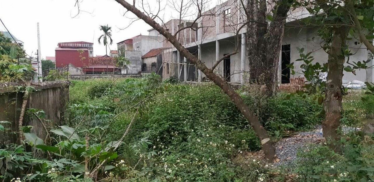 img_1554264711369_1564459012522-1103 Chùa cổ Hồng Ân Linh Tự mong được hoàn thiện sớm để rước tượng Phật về nơi trang nghiêm 6