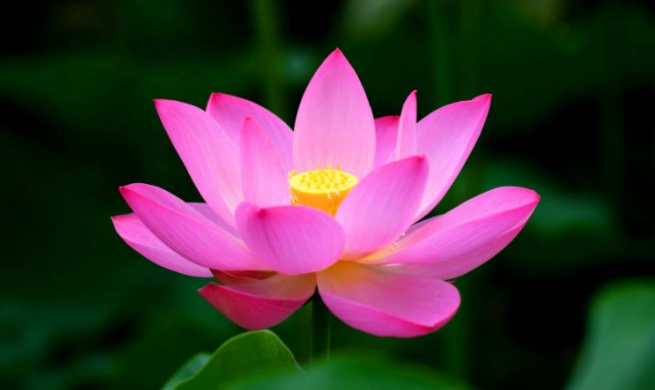 kinh diem lanh toi thuong phatgiaoorgvn 1 0932 1