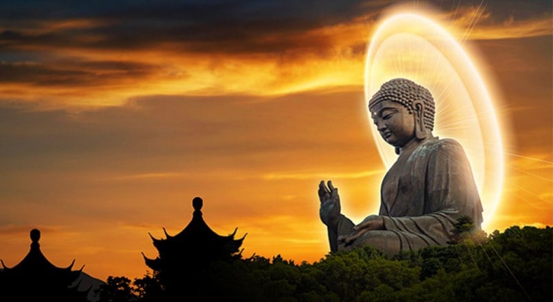 Định nghĩa và phạm vi của sát sinh? 1