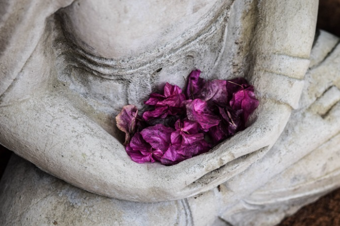 Lời Phật dạy về lòng tham của con người 2