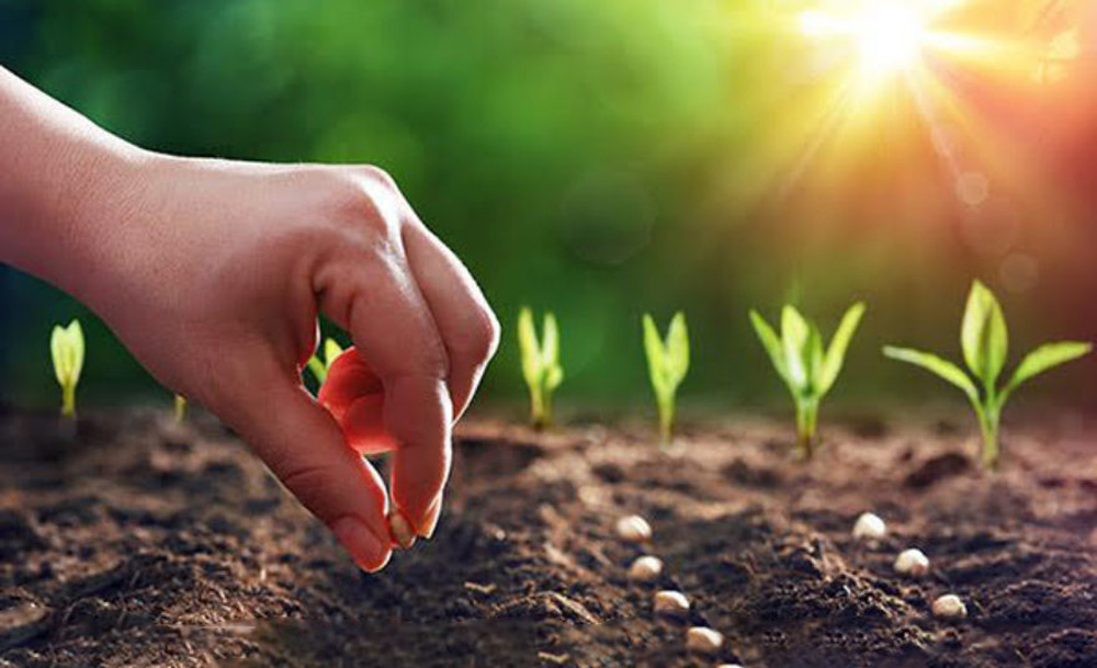 Nghiệp báo hay luật nhân quả 1