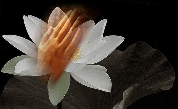 matphatgiaoorgvn 1501 1543 1