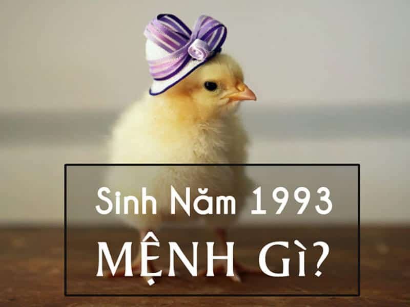 menh kim 1993 la gi va nhung dac diem tinh cach nao 1