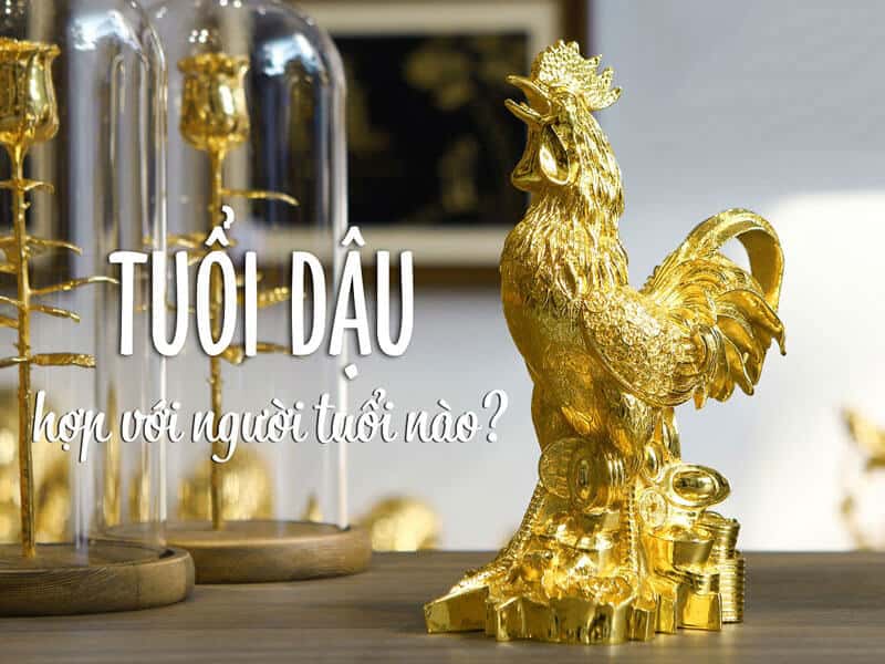 nguoi menh kim co the hoa hop voi nguoi menh hoa theo nhieu cach khac nhau