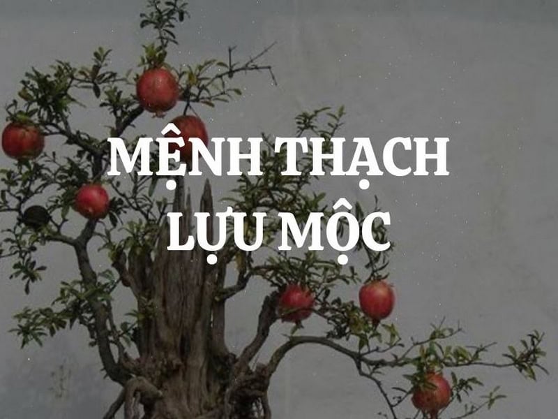 menh thach luu moc co y nghia nhu the nao trong phong thuy