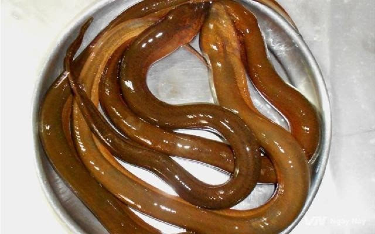 mo thay luon la diem bao gi tot hay