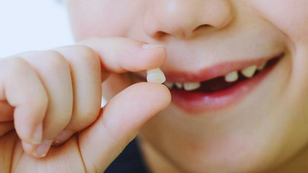 mo thay rung rang bao hieu dieu gi danh con so may 0 1