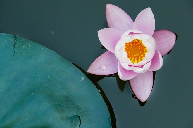 mot so bai ke 2102 1