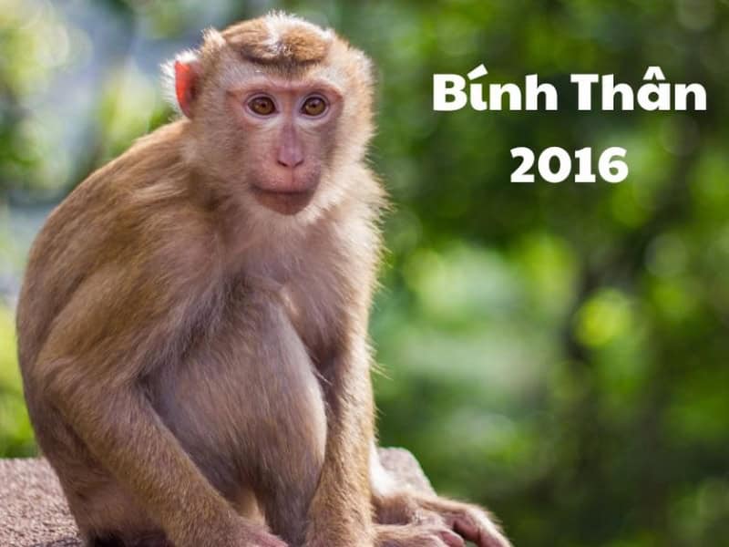 mot so diem nhan trong nam co gi dang luu tam cho nam binh than