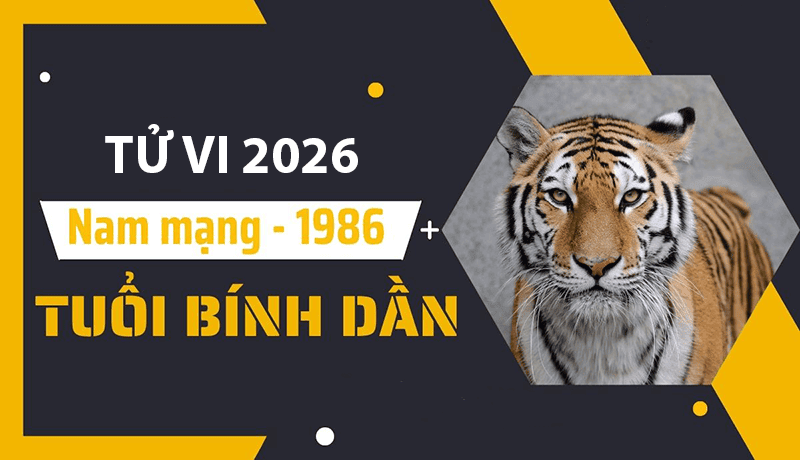 Năm 2026: Nam Bính Dần đón Thái Dương, tài lộc khởi sắc? Tử vi chi tiết 2 nam 2026 nam binh dan khong pham thai tue tam tai hay kim lau nen co van trinh tuong doi on dinh 1