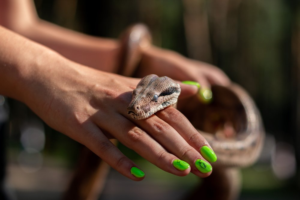 nam mo thay ran la diem bao gi tot hay xau danh con so may 1