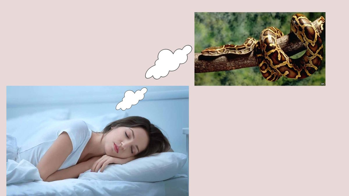 nam mo thay tran dau hieu tiem an va diem bao 1