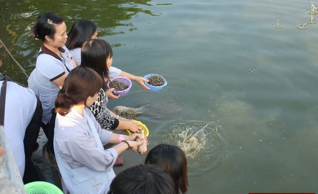 Rằm tháng Giêng cúng phóng sinh như thế nào để tạo phúc? 2