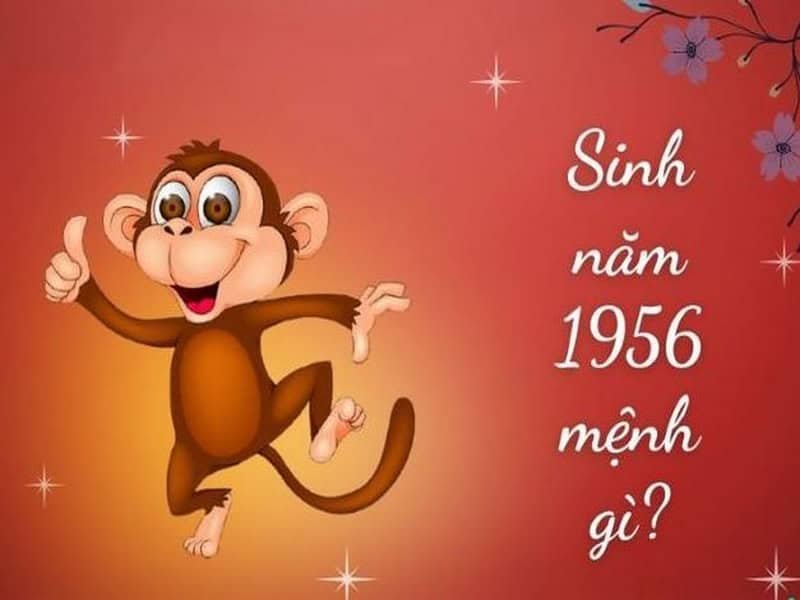 nguoi sinh nam 1956 menh gi tuoi gi theo phong thuy 1