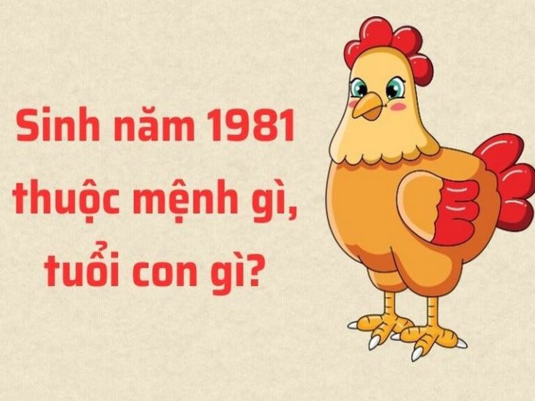 nguoi sinh nam 1981 menh gi theo ngu hanh 1
