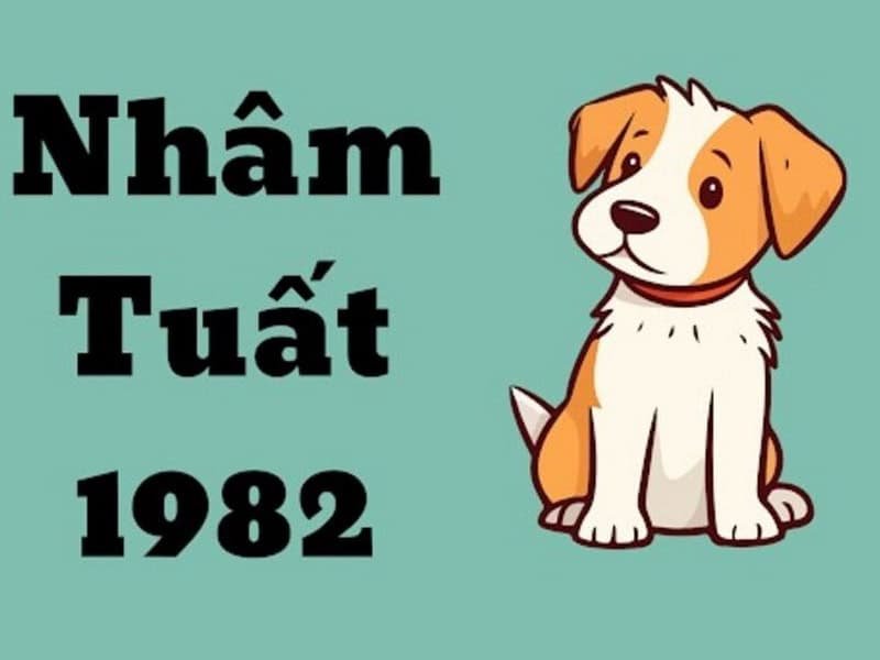 nguoi sinh nam 1982 menh gi theo ngu hanh 1