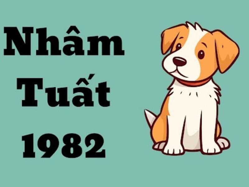 nguoi sinh nam 1982 menh gi theo ngu hanh