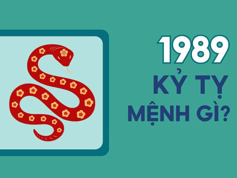 nguoi sinh nam 1989 - ky ty thuoc menh moc va co nap am dai lam moc