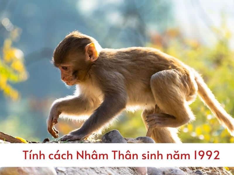 ve ngoai tram lang cua nguoi tuoi nham than khien nguoi khac hieu lam la lanh lung