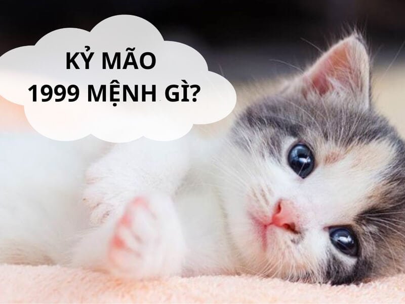 nguoi sinh nam 1999 menh gi cung gi tuoi con gi 1