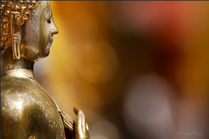 Thế nào là ‘độ’ trong câu ‘nguyện độ tất cả chúng sinh’? 1