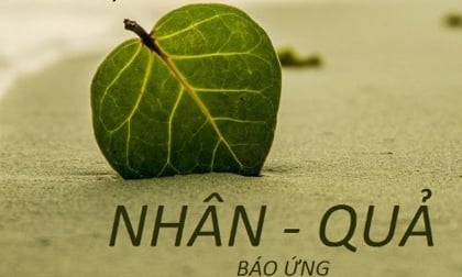 Hậu quả của việc phá thai theo quan điểm nhân quả