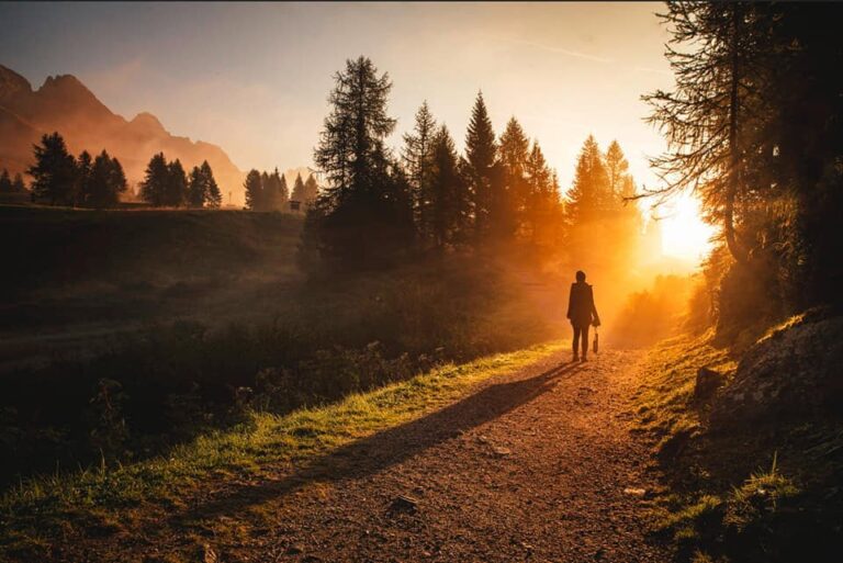 nhiephatgiaoorgvn 1455 1