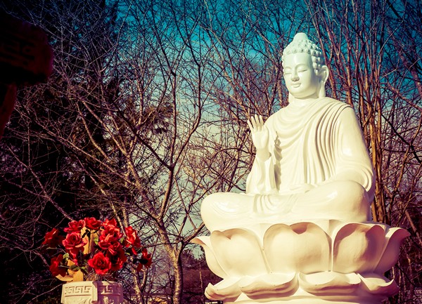 Nghiệp báo là gì? 1