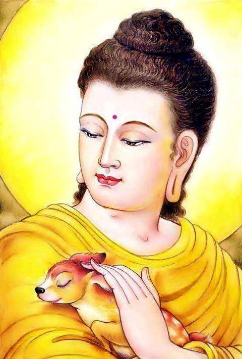 Lấy trí tuệ làm sự nghiệp 2