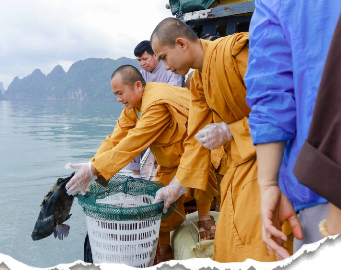 Phóng sinh là gì và phóng sinh thế nào để được lợi ích? 3