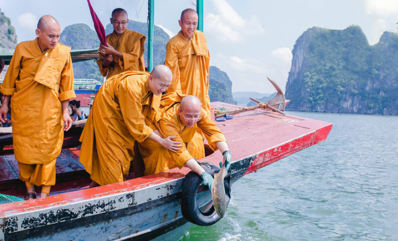 Phóng sinh là gì và phóng sinh thế nào để được lợi ích? 1