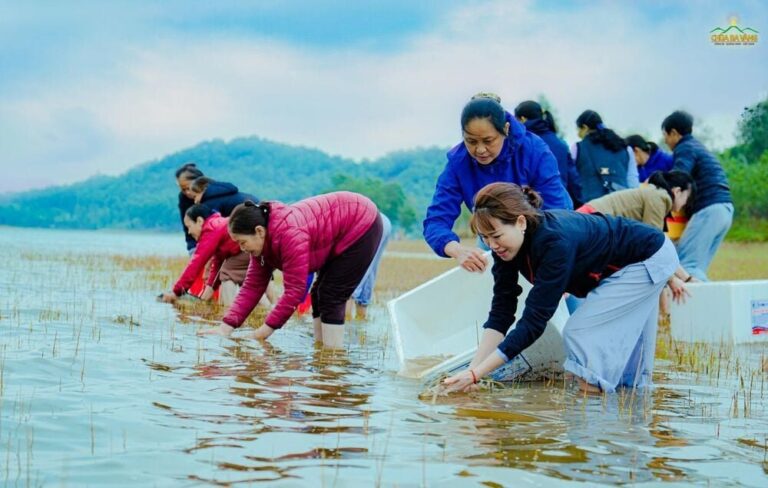 phong sinh cuu vat 2250 1436 1