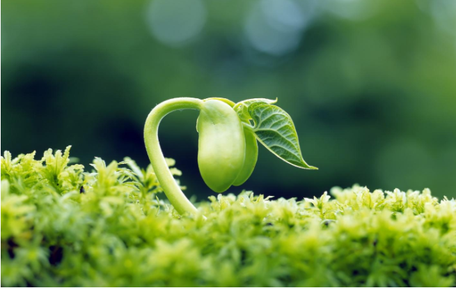 qua-bao-nhan-tien-vi-long-tham_phatgiaoorgvn-4-0928 Quả báo nhãn tiền vì lòng tham 3