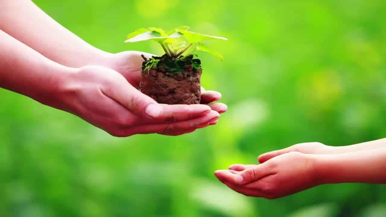 sao la hau chieu menh nam 2025 y nghia va cach giai han hieu qua 5