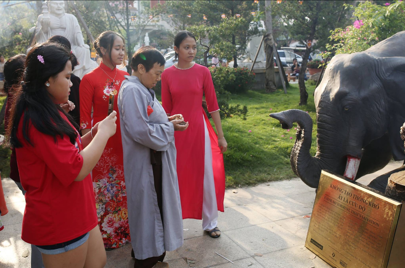 CHANGE - tổ chức với hoạt động