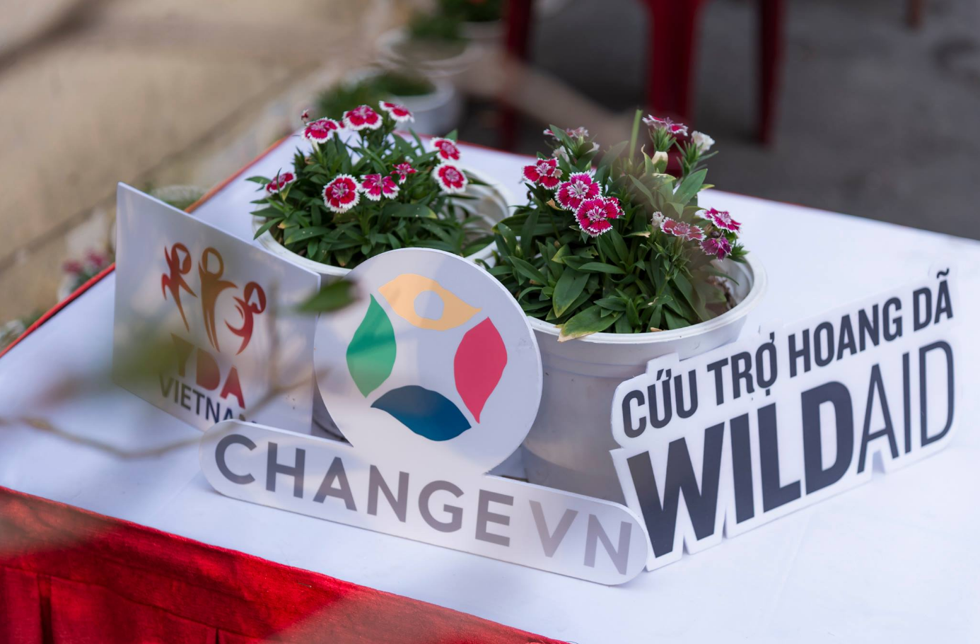 CHANGE - tổ chức với hoạt động