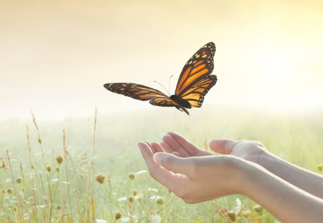 Buông xuống không có nghĩa mắt không thấy, tai không nghe 1