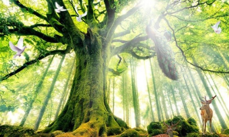 screenshot 1682523008 2230 1