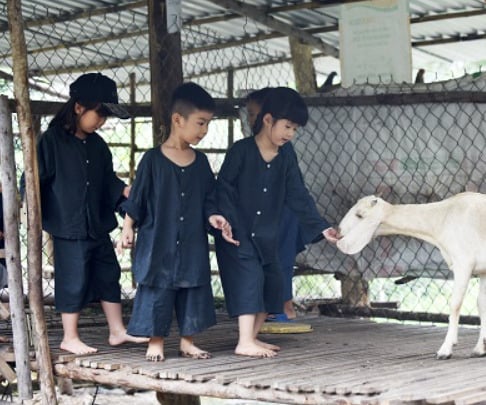 Sát sanh là gì? 1