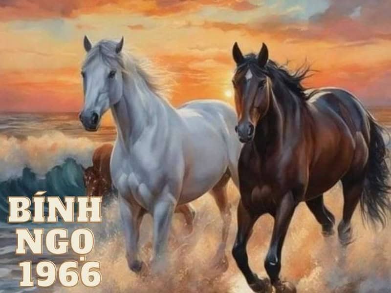 sinh nam 1966 menh thien ha thuy co dac diem gi noi bat