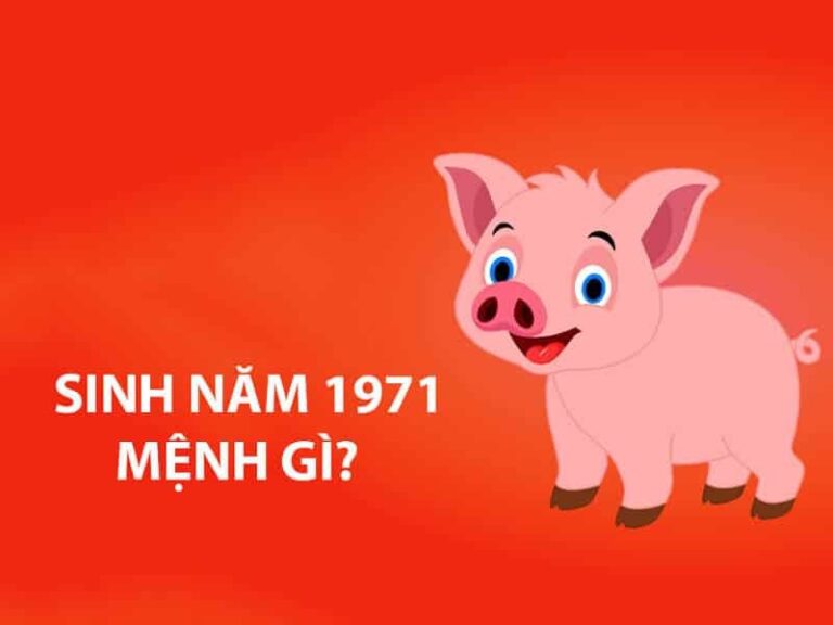 sinh nam 1971 menh gi va thuoc cung gi 1