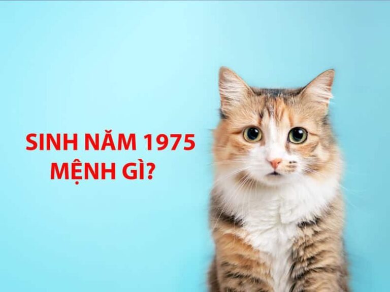 sinh nam 1975 la tuoi gi menh gi trong phong thuy 1