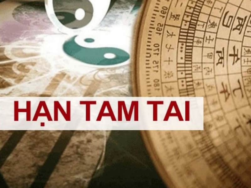 sinh nam 1982 co pham thai tue hay tam tai trong nam nao