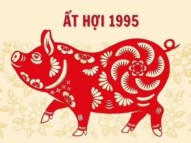 so luoc ve tu vi tuoi at hoi nam 2026 nam mang co gi can biet 1