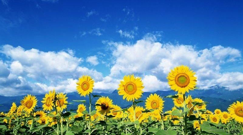 Học cách sống đẹp 1