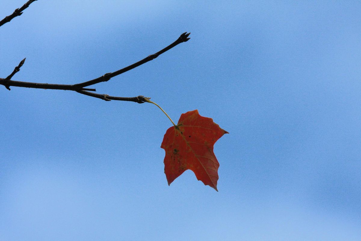 Sống hôm nay như ngày cuối trong đời 2