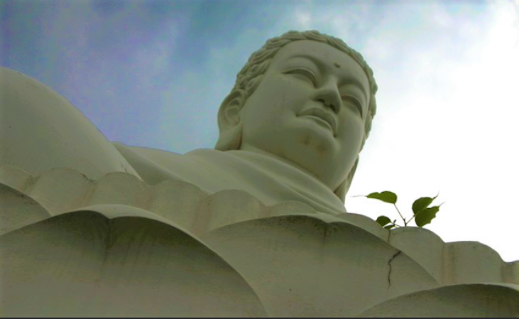 tac hai cua ngu duc doi voi phat tu 1 1646 1