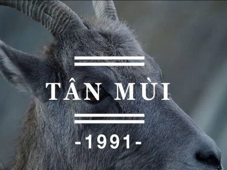 tam tai tuoi mui 1991 chu ky 12 nam tinh nhu the nao 1 1