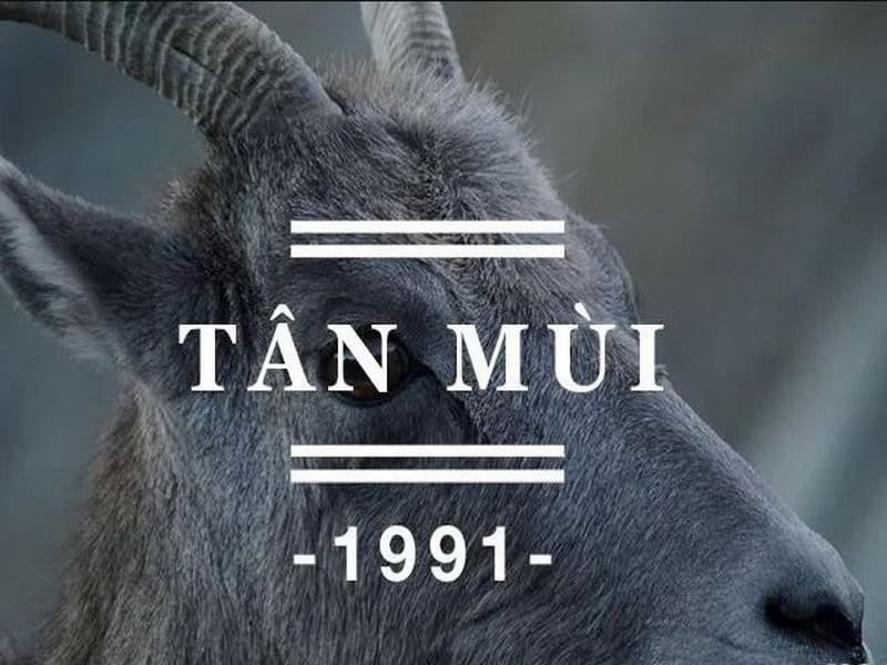 tam tai tuoi mui 1991 chu ky 12 nam tinh nhu the nao 1 1