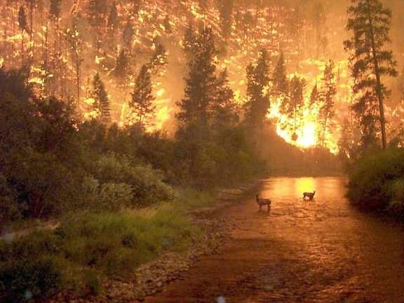 tan-the-la-gi-3-1555 Tận thế là gì? 2